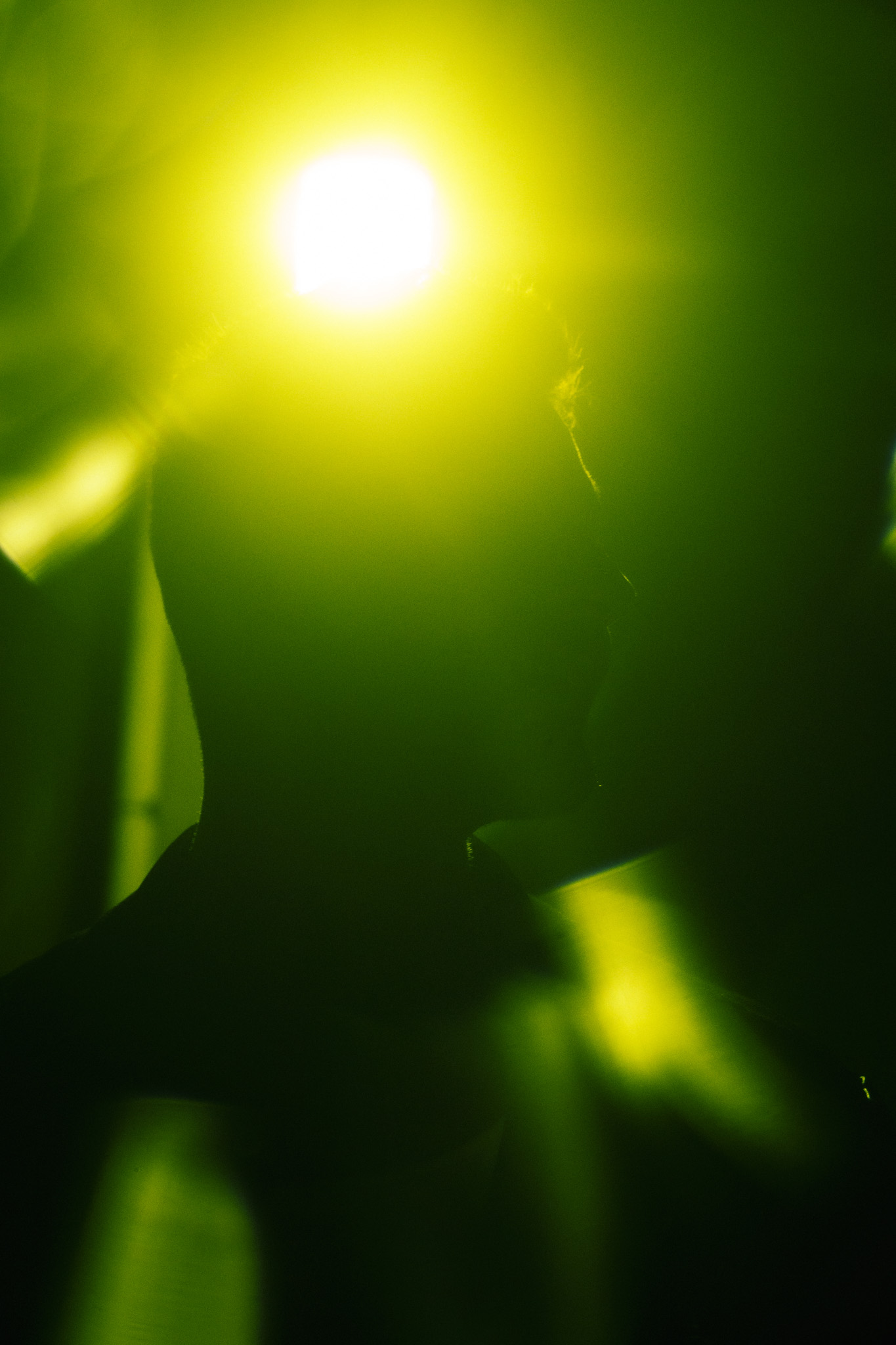 Photography 2